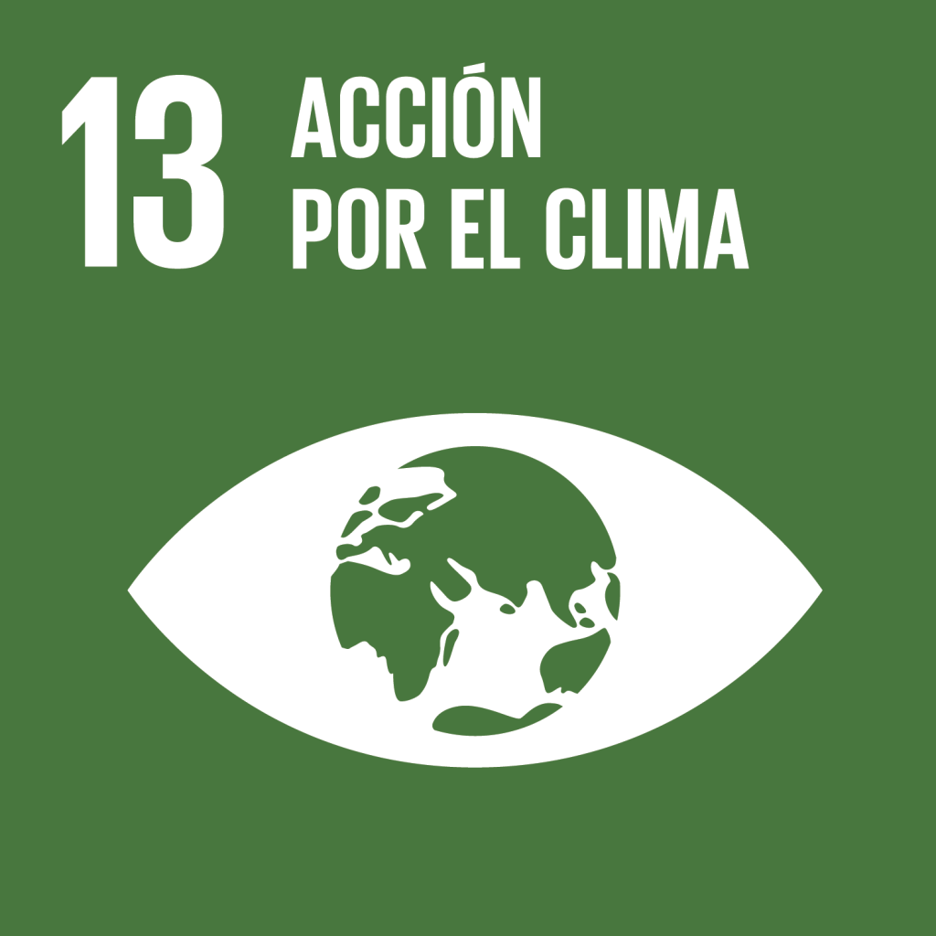 s sdg goals icons individual rgb 13
